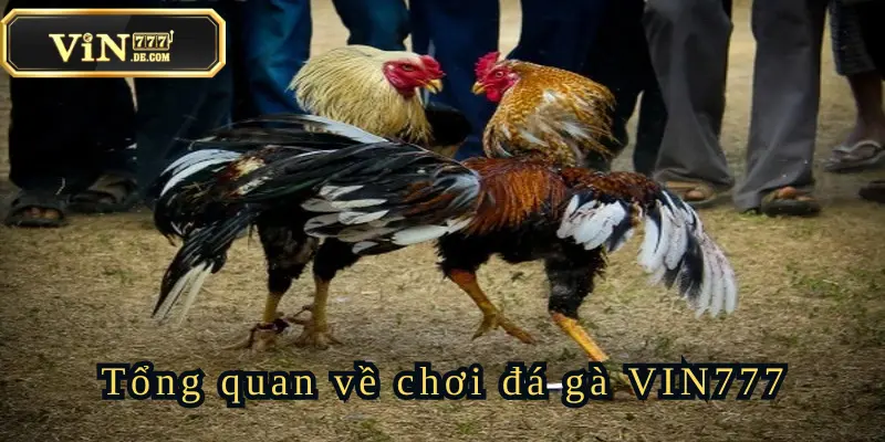 da-ga
